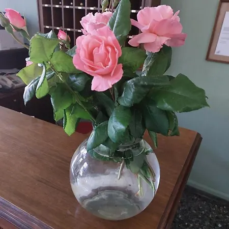 Xenios Zeus فندق 2*