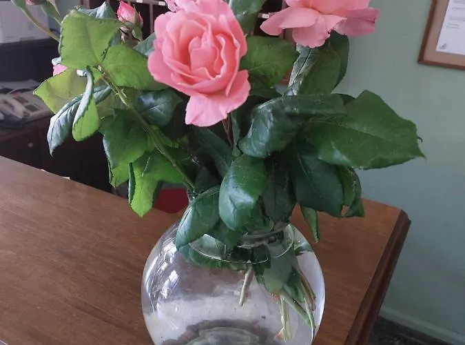 Xenios Zeus Hotel 2*